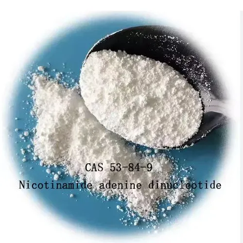 99% nicotinamide adenine dinucleotide NAD do CAS frith-aging 53-84-9