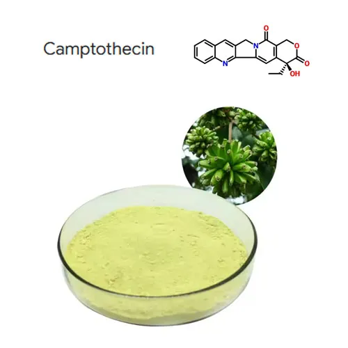 Íonacht ard 98% camptothecin sliocht púdar CAS 7689-03-4