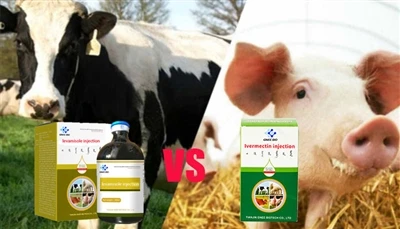 Comparáid idir Ivermectin vs Levamisole